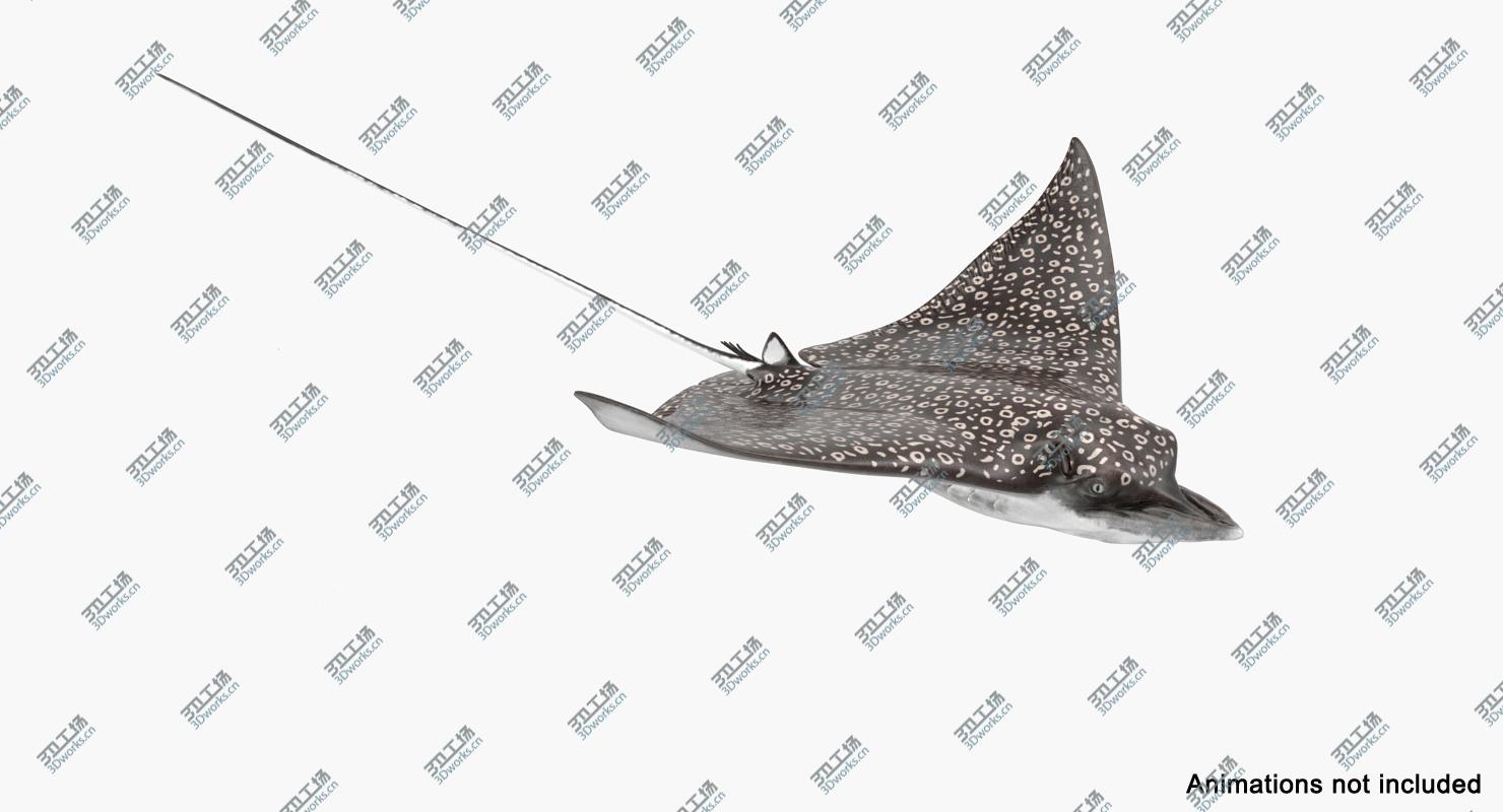 images/goods_img/2021040232/Eagle Ray Rigged/4.jpg